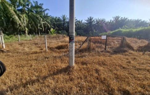 Flat land 1