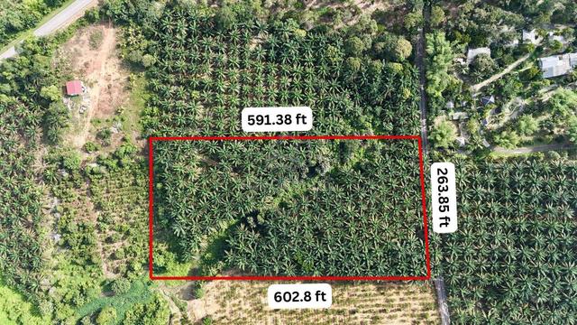 3.6Ac Land @ Kg Lipat Kajang, Kota Tinggi 1