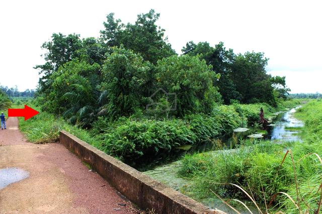 Tanah Pertanian di Jalan Ayer Hitam Muar untuk dijual 1