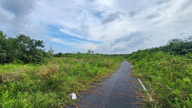 Tanah Lot Banglo 5823kp Non-Bumi Kg Pulai Gelang Patah 1