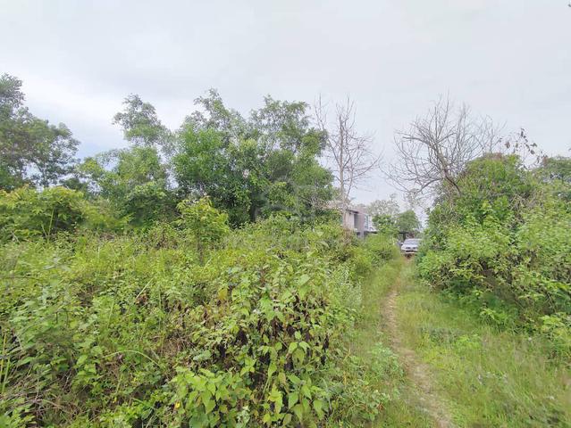 *2 LOT TANAH BANGUNAN BERSEBELAHAN UNTUK DIJUAL* Permatang Nangka, Kem 1