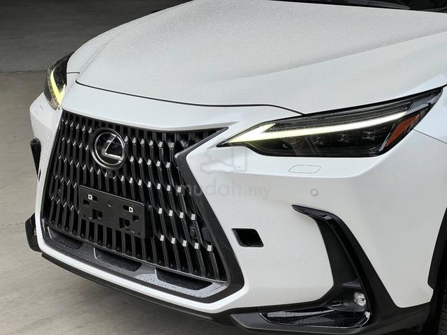 2023 Lexus NX250 2.5 LUXURY MY22 (A) - 3