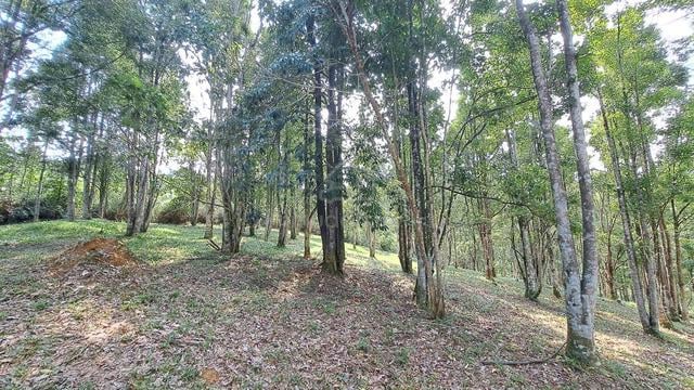 Tanah Pertanian Sg Merab Kajang 1