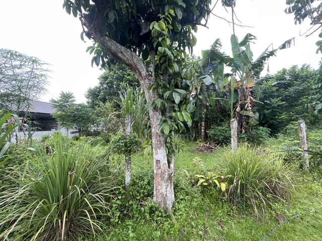 Land in Beranang, Ulu Langat, Selangor 5