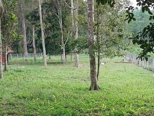 PRIME AGRICULTURE LAND @ LENGGENG, SEREMBAN – 1.706 ac 1