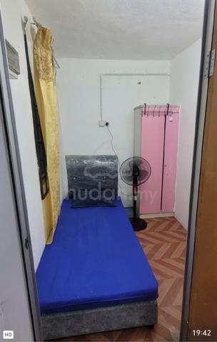 Bilik sewa single dan sharing yang selesa di Taman Tasik Jaya Senawang 1