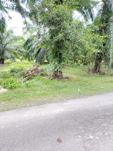 Sijangkang Land Telok Panglima Garang 📌5 Acres 📌Beside Tar Road 3