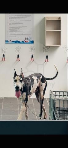Carousel Image