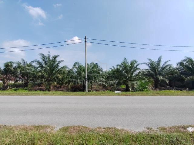 FLAT LAND INFRA READY 97327ft Agricultural Land Kuala Langat 2