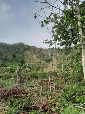 Land For Sale - Free from encumbrances  1