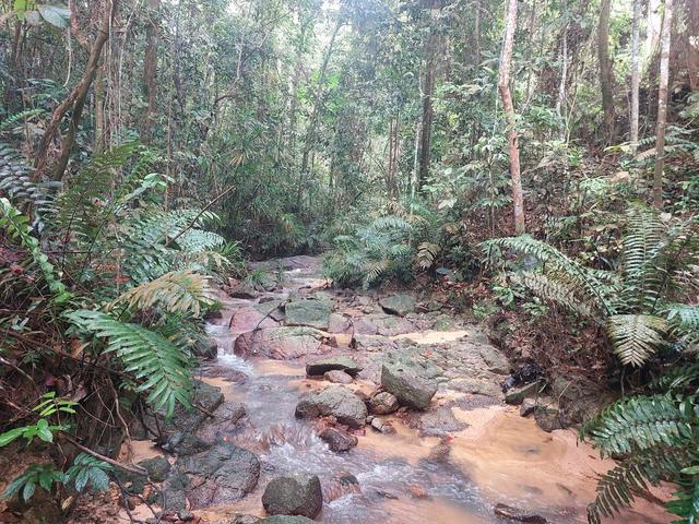 Tanah Air Terjun Felcra Semungkis Hulu Langat 2.96 Acre 1