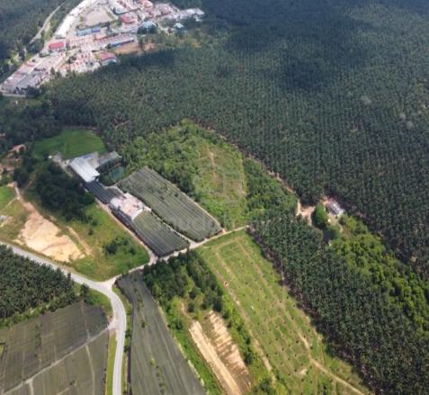 Prime Agricultural Land for Sale | Kota Tinggi, Johor 1
