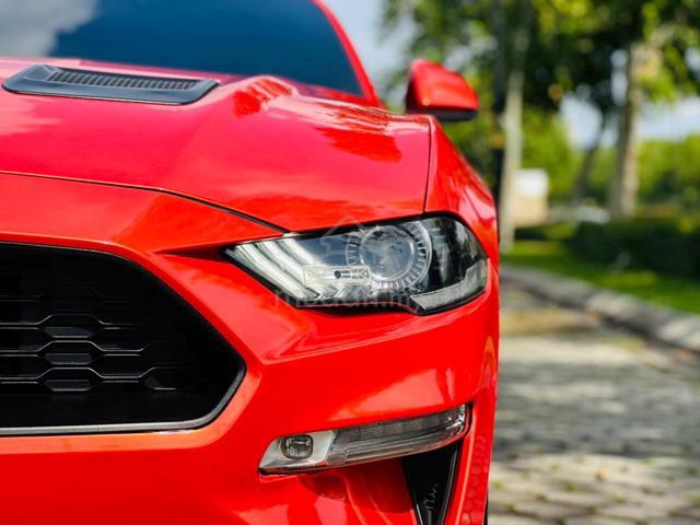 2020 Ford MUSTANG ECOBOOST 2.3L  MIL 62K KM ONLY - 3