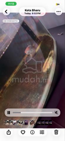 Carousel Image