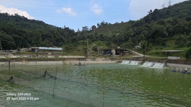 Agriculture Land 4.9 Acre Fish Pond Durian Tree Hulu Langat (Q4992) 1