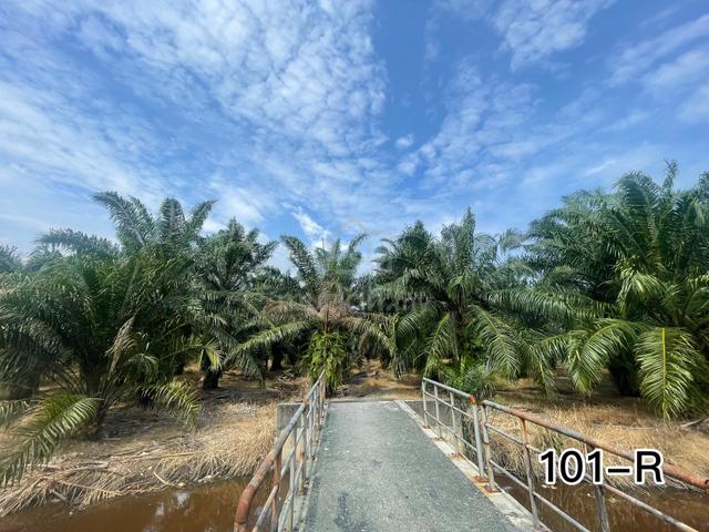 TELOK PANGLIMA GARANG Sijangkang 4.64acre Agricultural zoning Residen 1