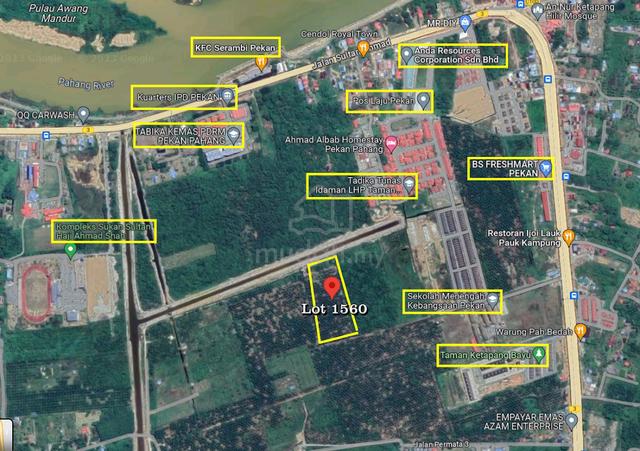 Hot Deal! Agriculture Land in Pekan - Ideal for Kelapa Sawit Farming! 1