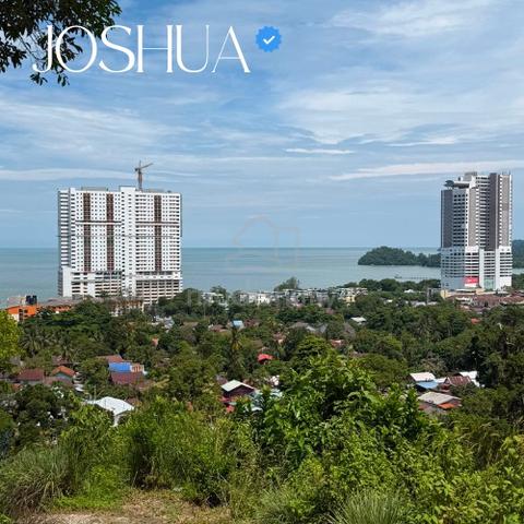 Teluk Kumbar Orchard Land 1.6 Acres Durian, Mangosteen & Mango 1
