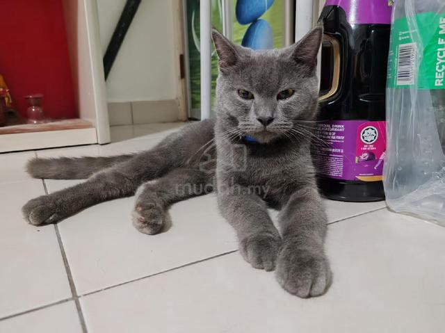 Carousel Image Selected