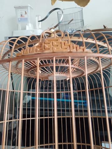 Carousel Image