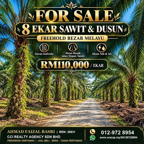 8 Ekar Tanah Sawit & Dusun Freehold Rezab Melayu, Kota Tinggi 1