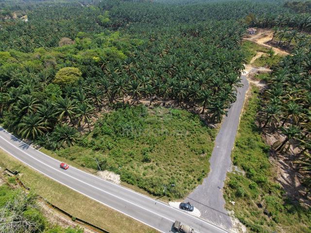 [ Mian Road Side Agricultural Land | Junjong Kulim Kedah ForSale] 1