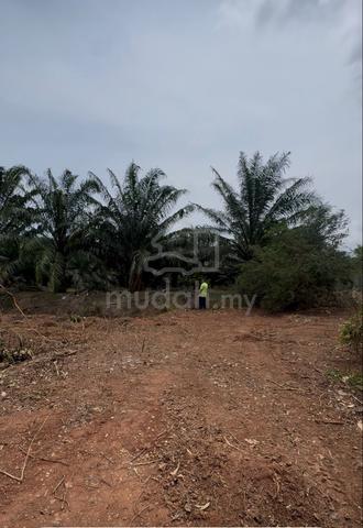 Tanah Pertanian Untuk Diusahakan 1