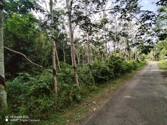 Lokasi emas di Masjid Tanah – Tanah kebun untuk dimiliki sekarang! 1