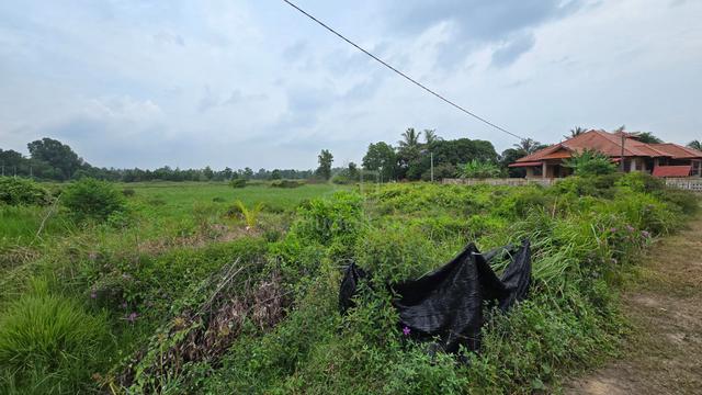 Tepi Jalan Utama bersebelahan Pelabuhan LKIM 1