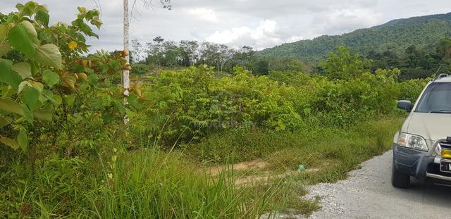 Tanah 6 Ekar Sesuai Utk Buat Kebun Buah/Rumah Hujung Minggu Di Jelebu 1