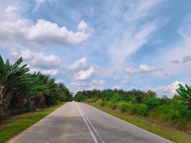 Kulai sedenak Bukit batu 10 ekar 7yrs kelapa sawit land freehold sale 1