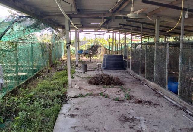 Seelong, senai, agriculture land, empty land, kempas, johor Bahru land 4