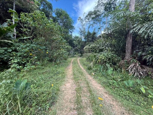 Tampuruli 10 Acers NT Land Below Bank Value !! Direct Owner 1