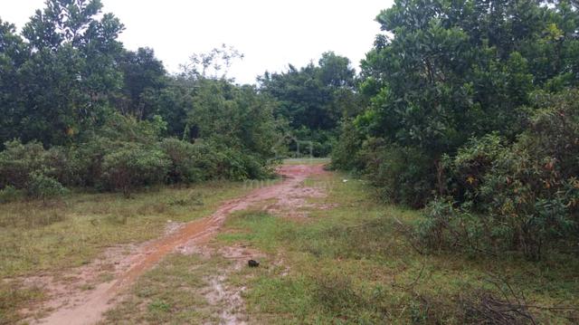 Lot Banglo PADANG PULUTPadang Pulut - Untuk Dijual Segera- URGENT!! 5