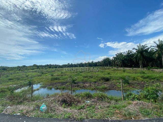 Benut Pontian Oil Palm Tree Land Flat Land River nearby,beside main Rd 1