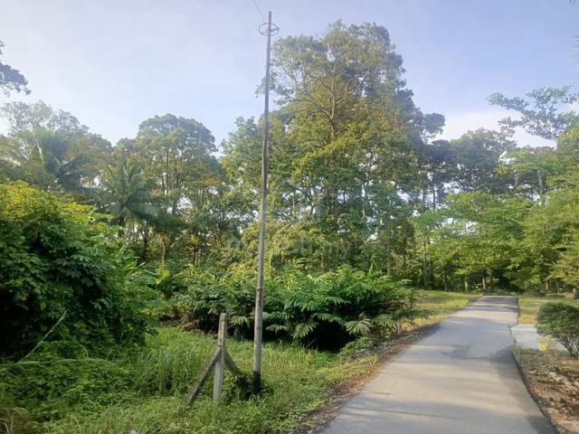 Dusun buah buahan (rata) tepi jalan Kampung di Lenggeng, Kampung Kapal 1