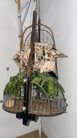 Carousel Image
