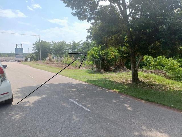 Tanah Untuk Dijual - BUKIT SIPUT, SEGAMAT, JOHOR 1