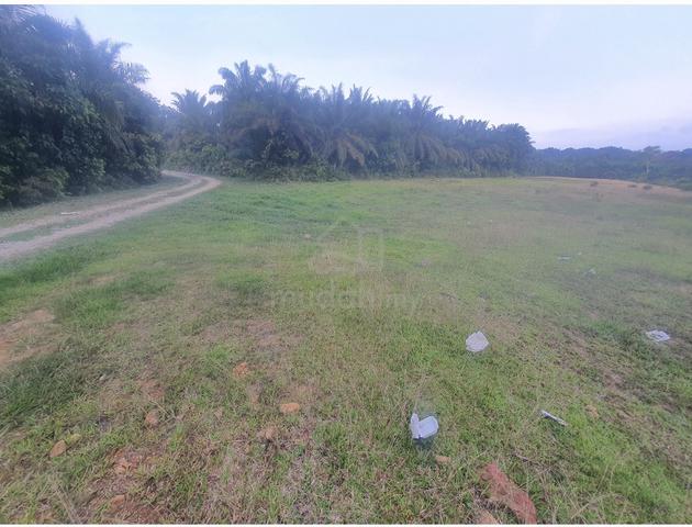 2 lot banglo 591mp Kg Langgar Kuala Berang 1