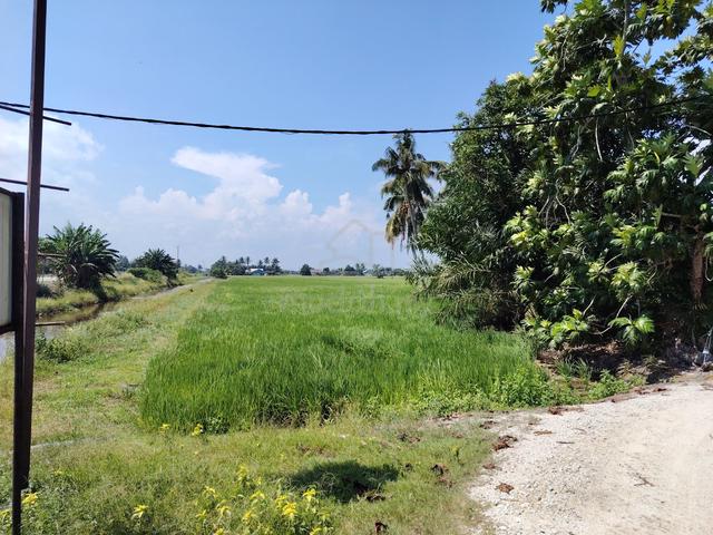 Tanah Pertanian untuk Dijual - Parit 4 1/2 Timur, Sg Besar 1