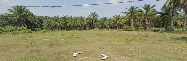 Residential land Alma Desa Impian Nearby Land For Sale 1