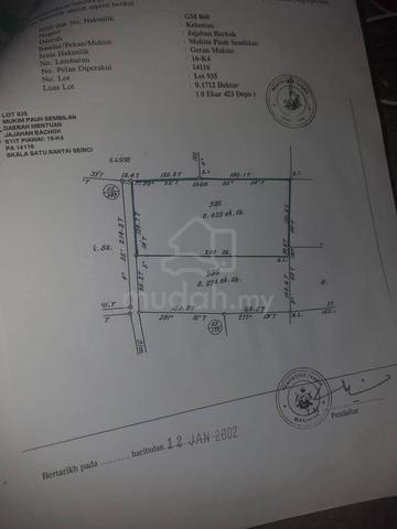 Tanah sawah pemandangan tenang 1