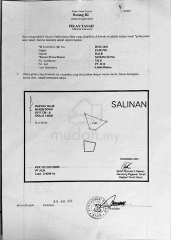 Masih ada hutan 1