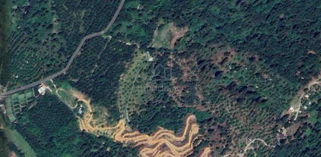 27620sf Land (Suitable Cattle Farming) For SALE @ Junjong ,Kulim Kedah 1