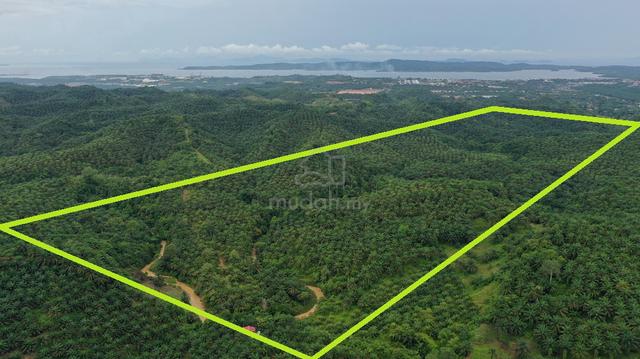 Lahad Datu (Nearby Town - Mineral) Toursim oldPalm Oil Land CL280acs 1