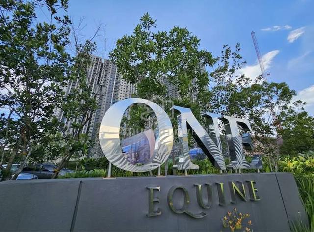 One Equine 1