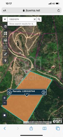 Keningau Agricultural land for Rent 1