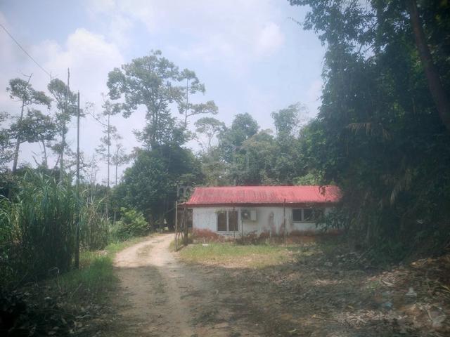 Homestay freehold land for sale 1