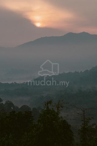 Freehold Land Tanarimba Janda Baik With Stream 1