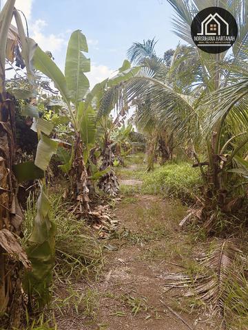 Tanah Peserai Geran Individual  3